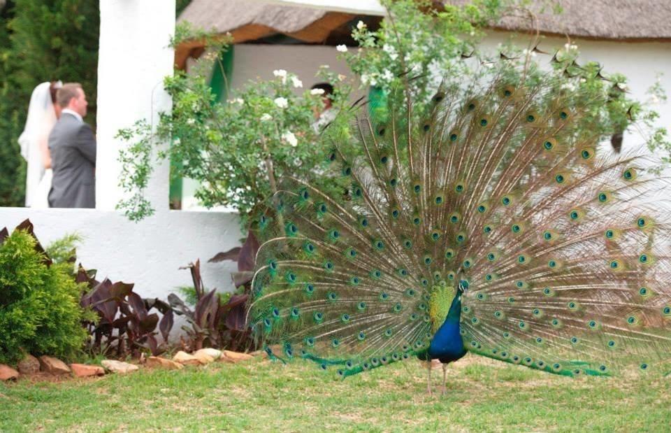 Warembo Lodge Grootvlei エクステリア 写真
